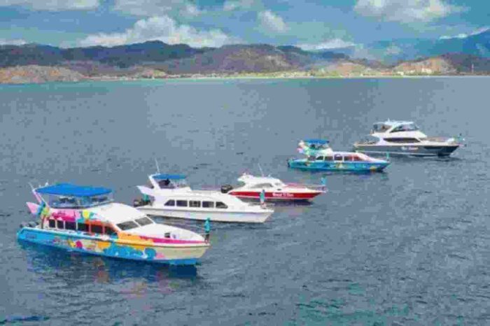 Open Trip Speed Boat Labuan Bajo 1 Hari
