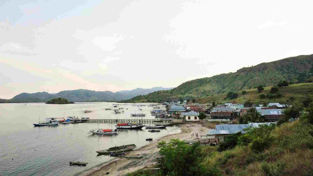 trip labuan bajo pulau rinca