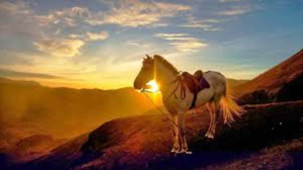 paket wisata bromo