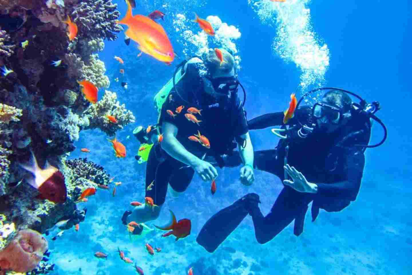 dive trip komodo island