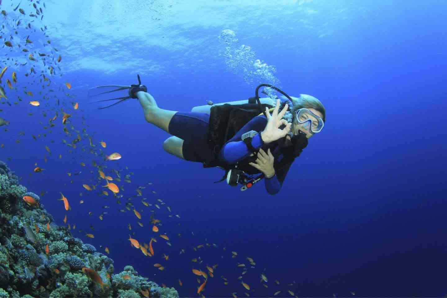 dive trip labuan bajo