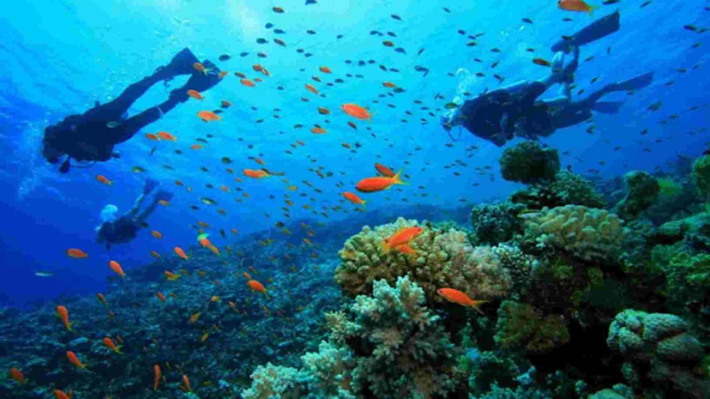 pulau siaba labuan bajo