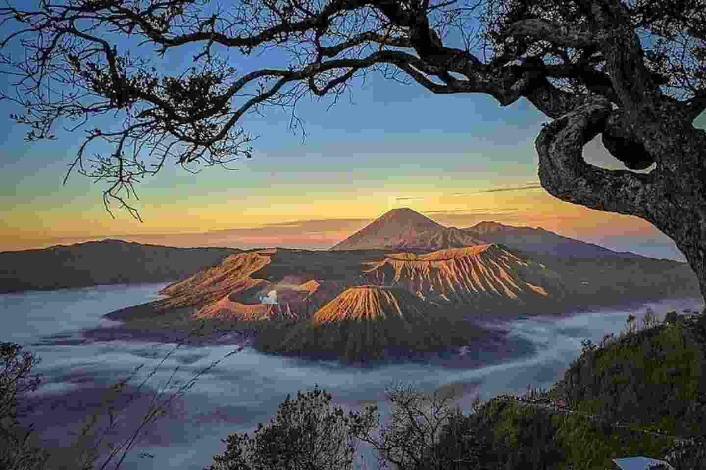 paket wisata bromo 1 hari