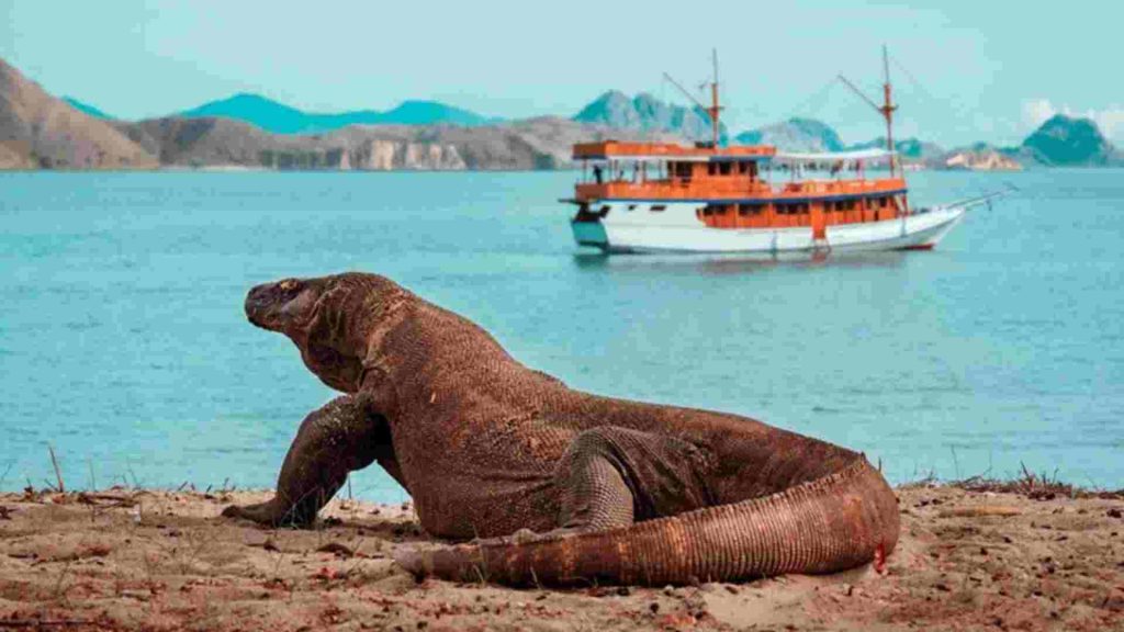 singapore labuan bajo trip