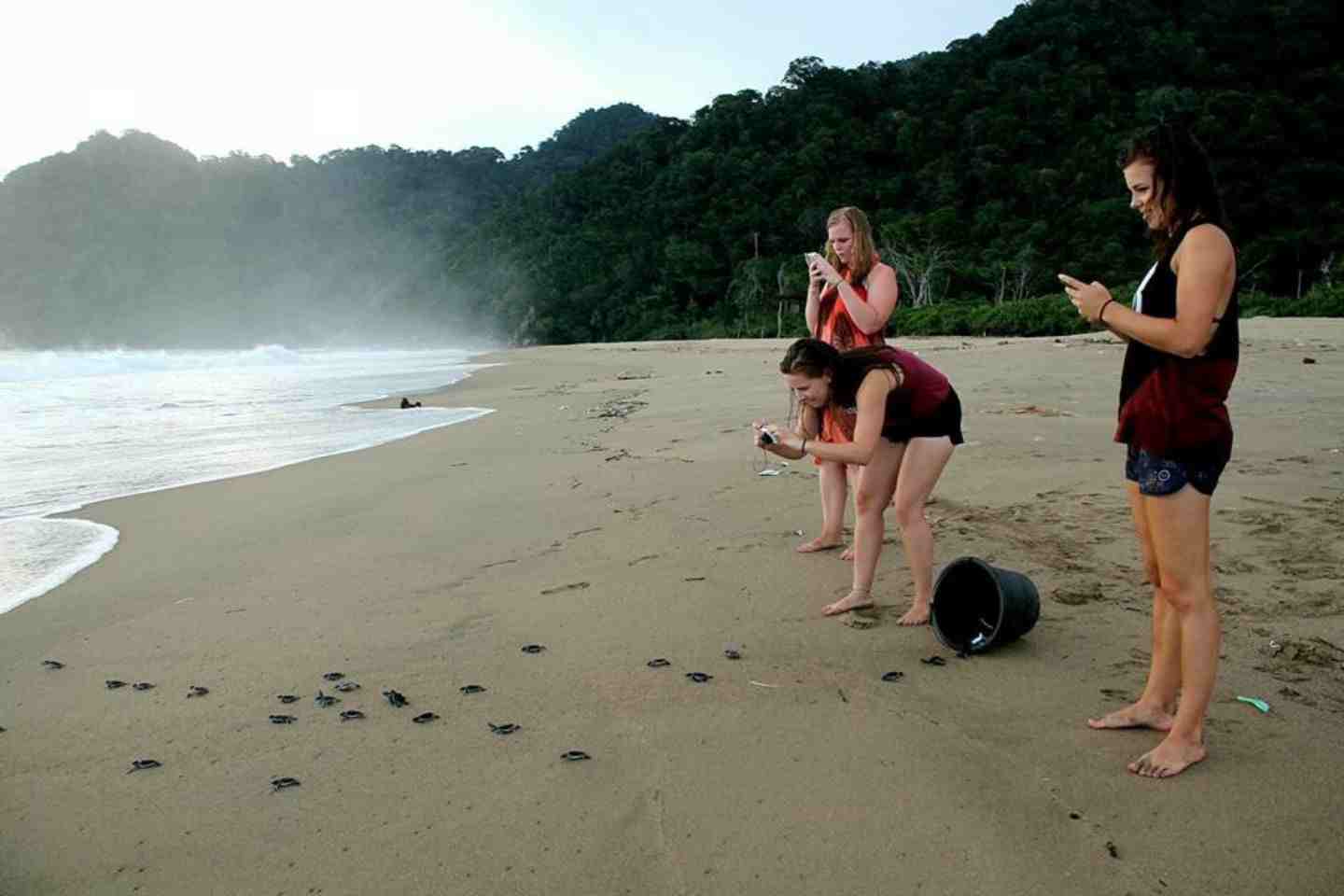 paket wisata sukamade 2 hari 1 malam