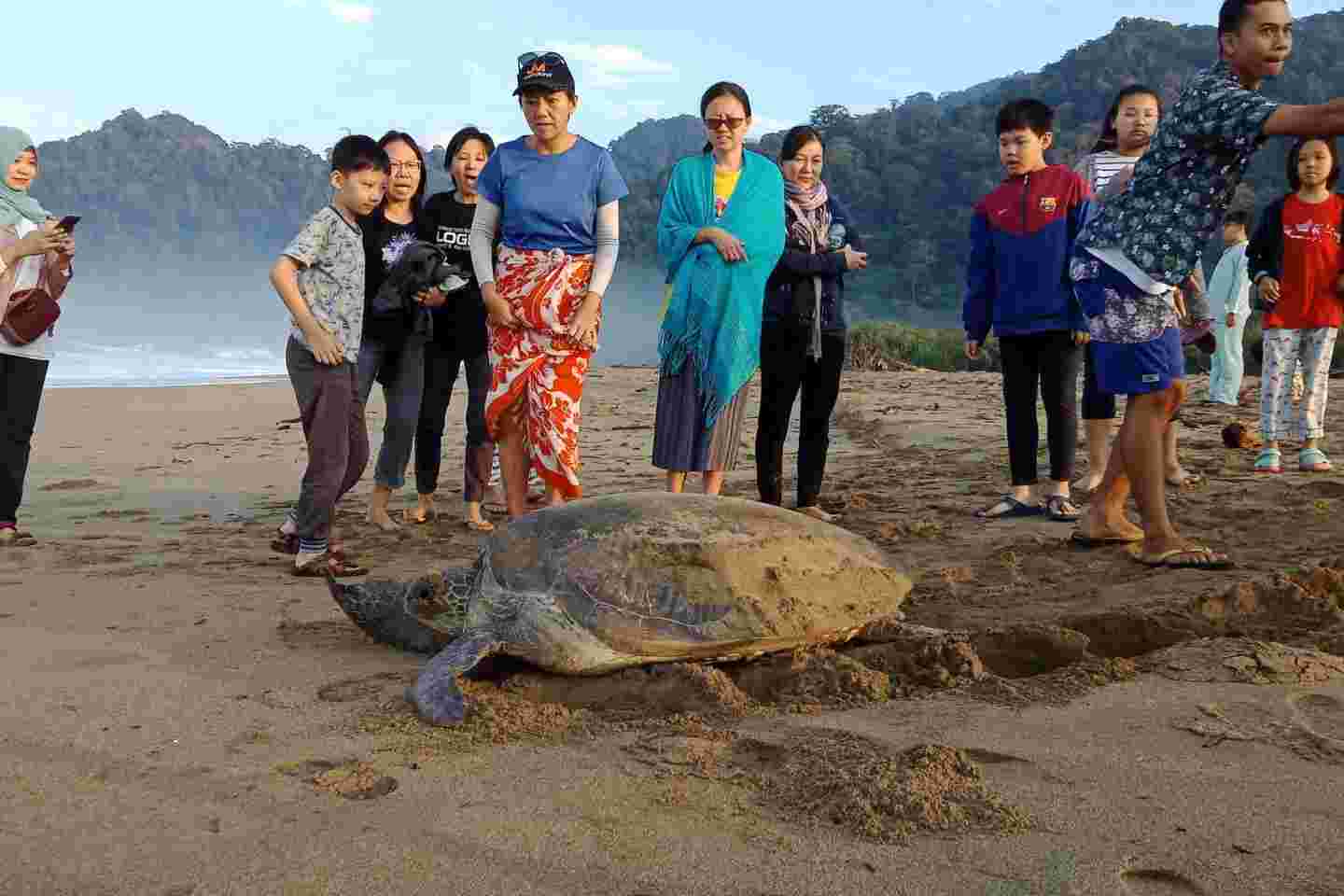 paket wisata sukamade 2 hari 1 malam