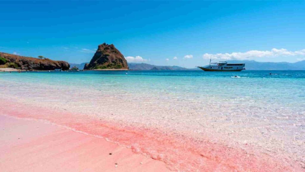 pink beach labuan bajo pantai terindah 2025