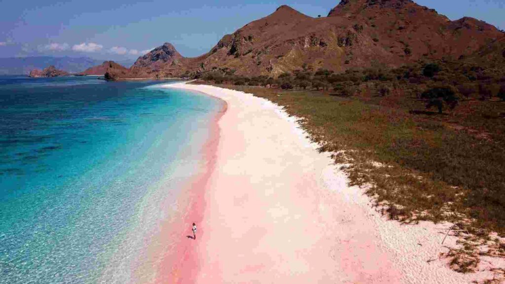 pink beach labuan bajo pantai terindah 2025
