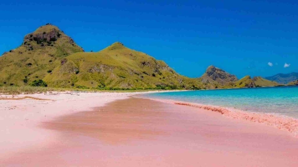 pink beach labuan bajo pantai terindah 2025
