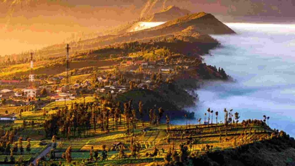 seruni point bromo