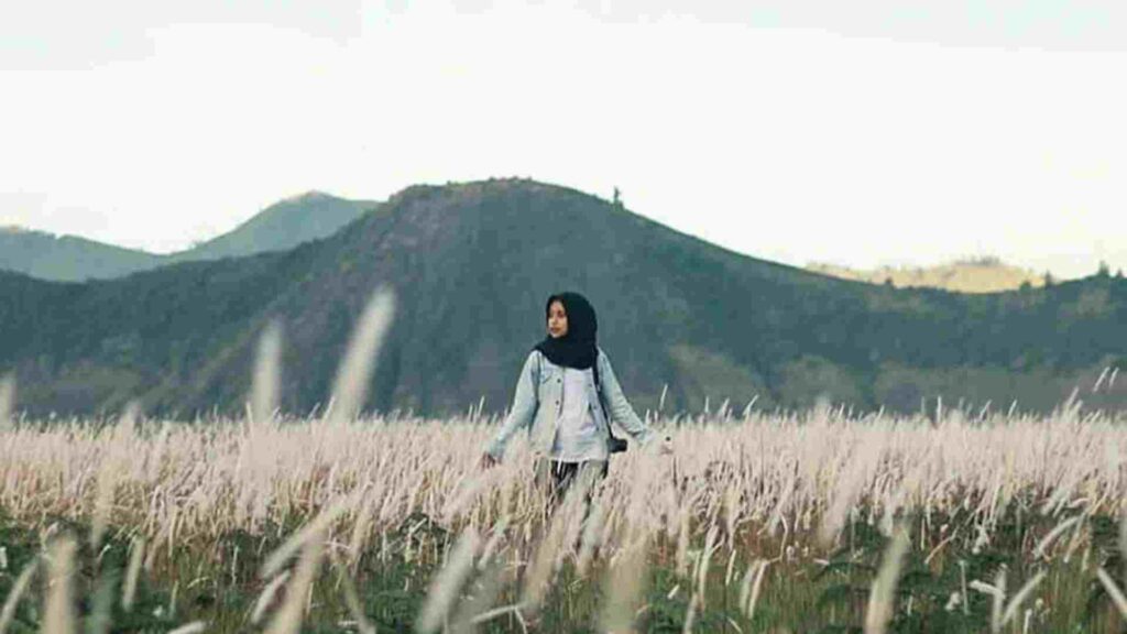 bukit teletubbies bromo