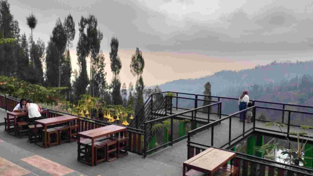 desa edelweiss bromo