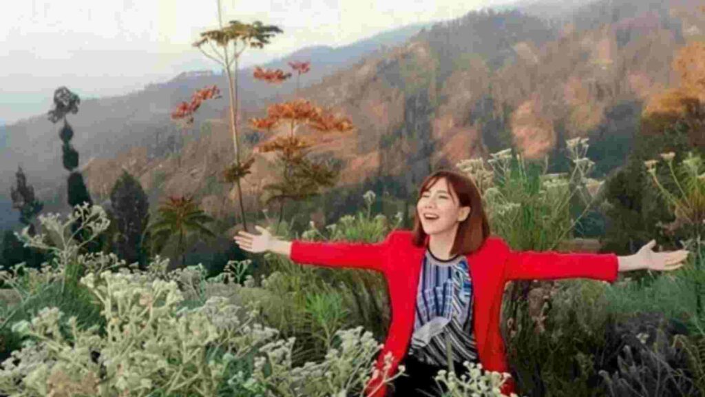 desa edelweiss bromo