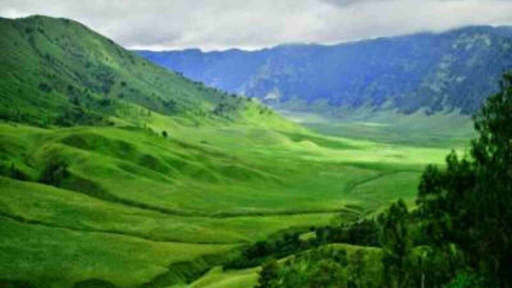 bukit teletubbies bromo