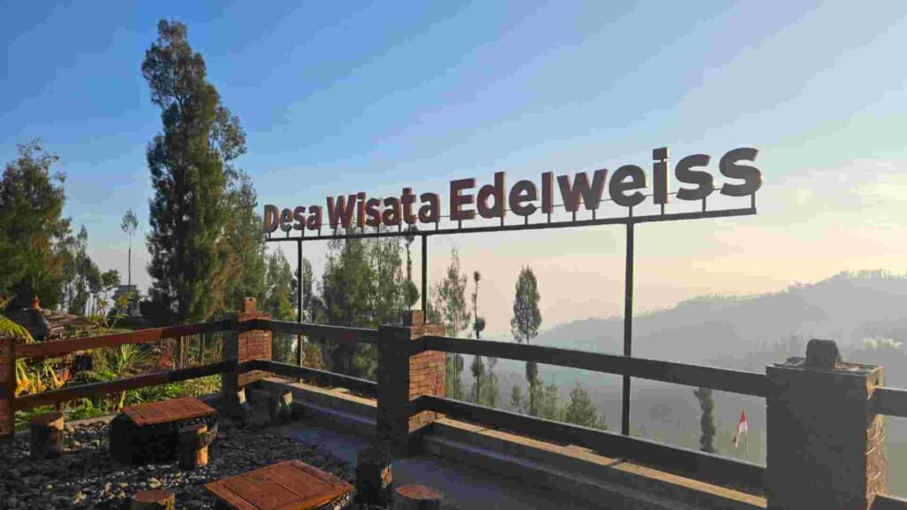 desa edelweiss bromo