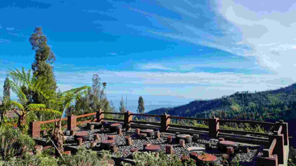 desa edelweiss bromo