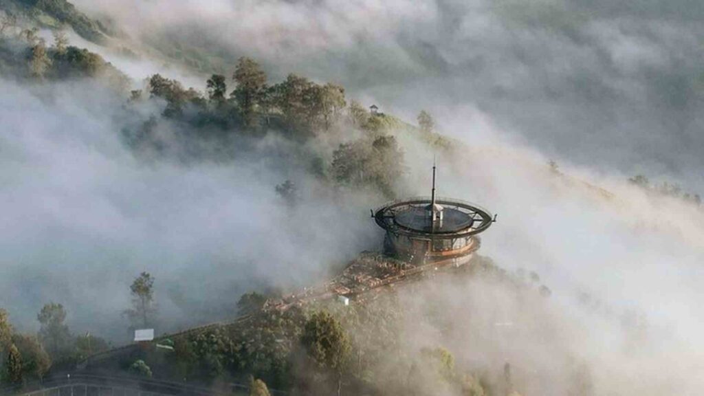 bromo hillside