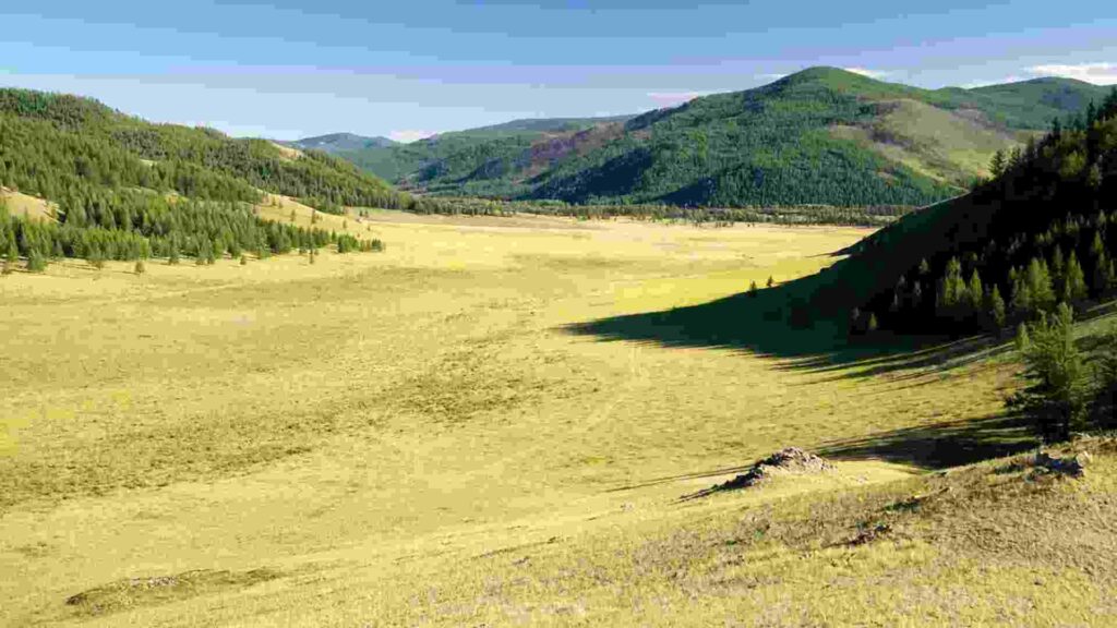 padang savana mausui