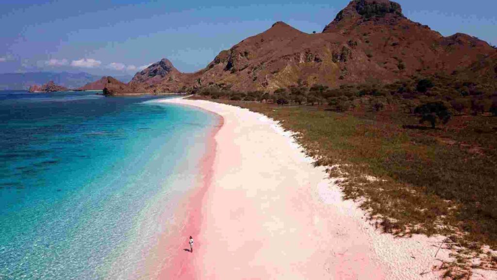 maskapai scoot rute singapore labuan bajo