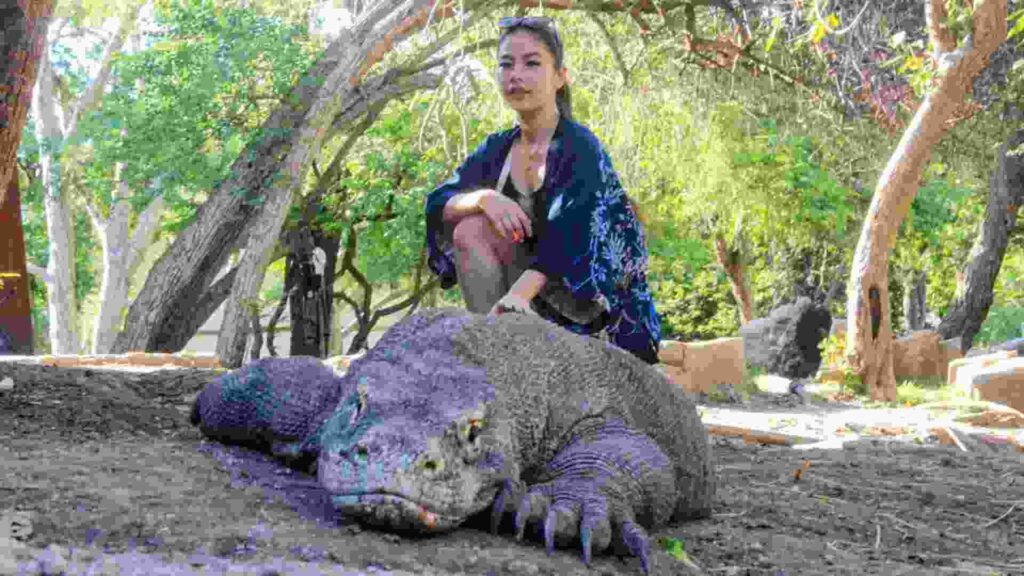 tour labuan bajo dari makassar