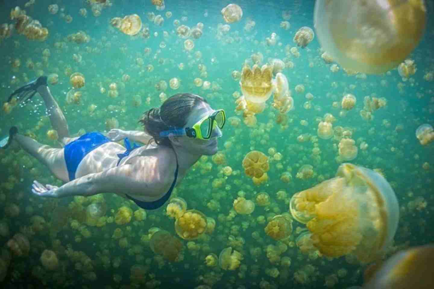 paket wisata derawan 5 hari 4 malam