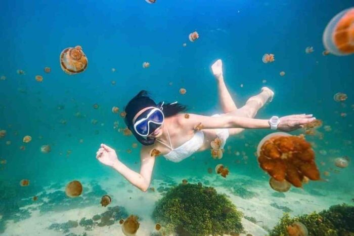 Paket Wisata Derawan