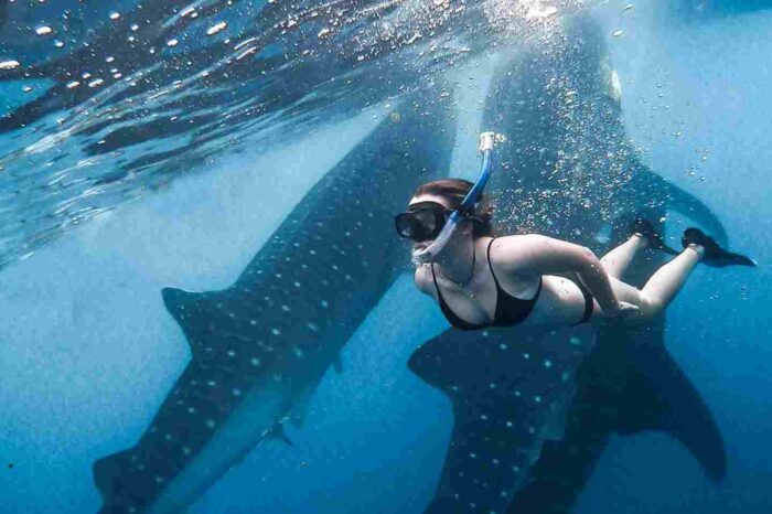Paket Wisata Derawan