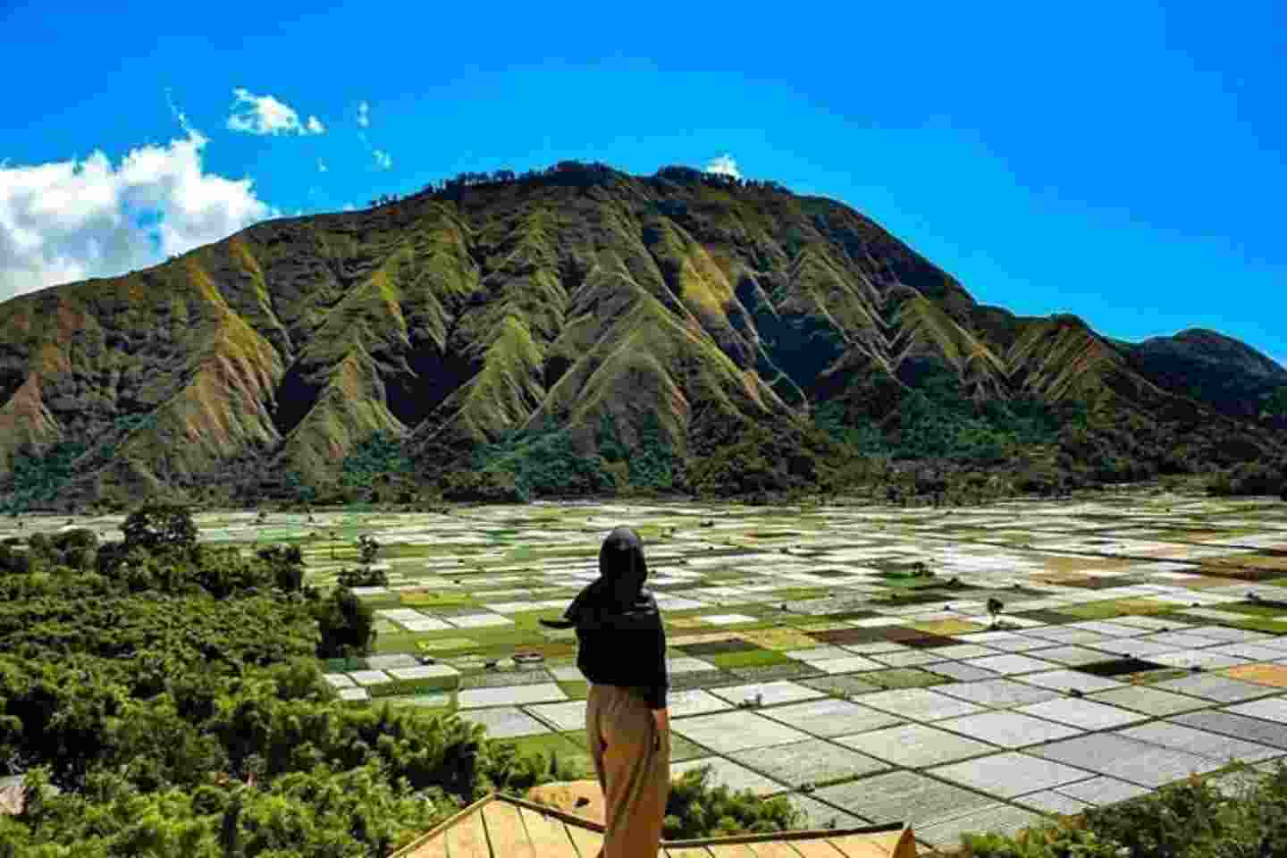 paket tour sembalun lombok