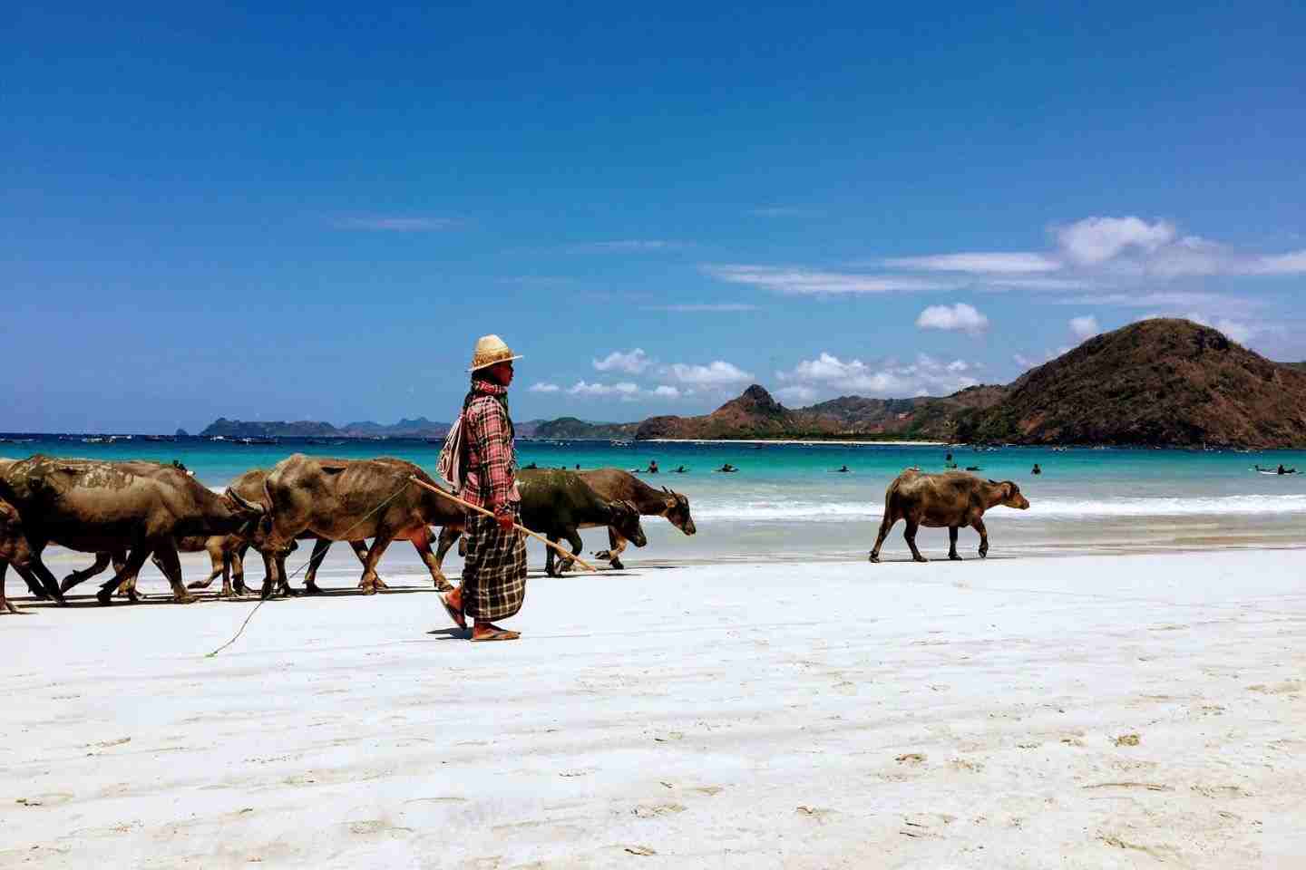 paket tour pantai mawun selong belanak