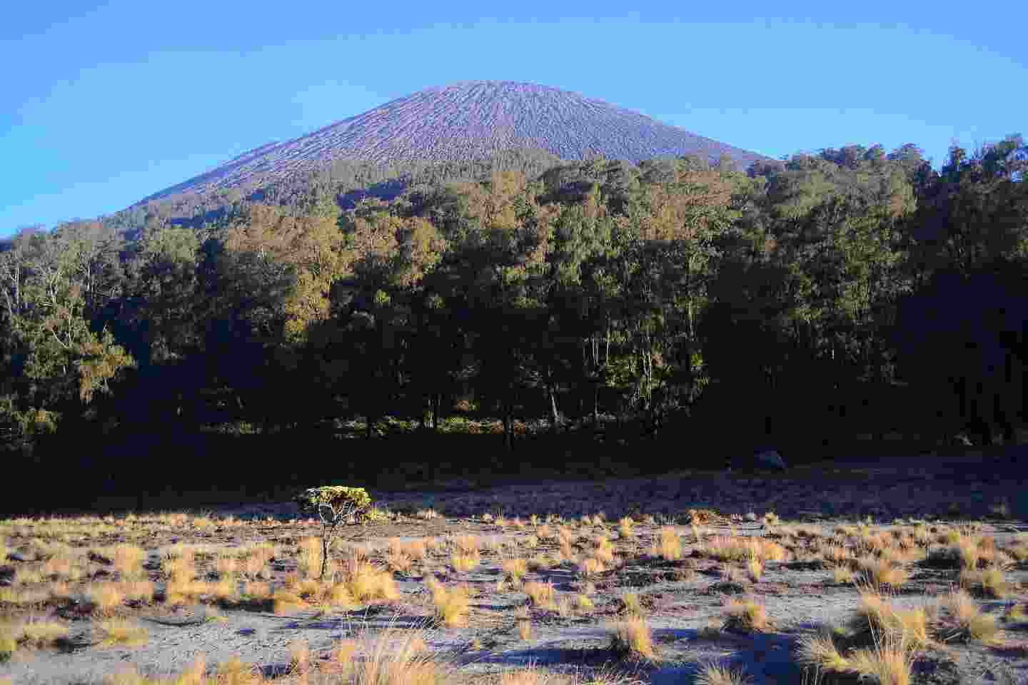 paket semeru treking 4 hari 3 malam