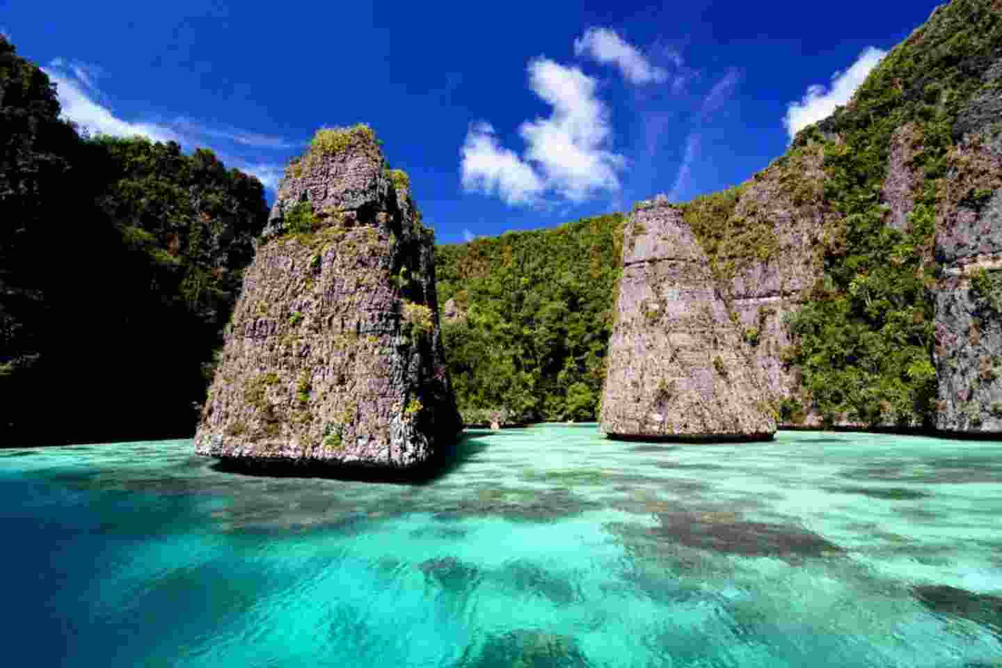 paket tour misool raja ampat 2 hari 1 malam